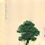 盆栽・季節の植物アイコン